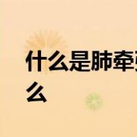 什么是肺牵张反射,其感受器和传入神经是什么