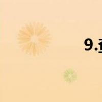 9.查询彩票结果的奖金
