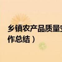 乡镇农产品质量安全工作总结范文（乡镇农产品质量安全工作总结）