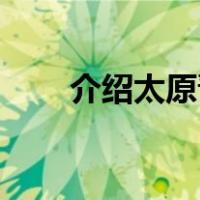 介绍太原晋祠20字（介绍太原晋祠）