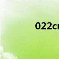 022cr19ni10是304还是316