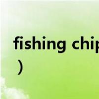 fishing chips是什么意思（chips是什么意思）