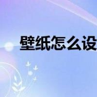 壁纸怎么设置一页一张（壁纸怎么设置）
