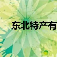 东北特产有哪些水果（东北特产有哪些）