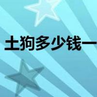 土狗多少钱一只大狗（普通土狗多少钱一只）