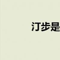 汀步是什么工程（汀步是什么）