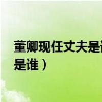 董卿现任丈夫是谁?（央视董卿丈夫照片 央视董卿现任丈夫是谁）