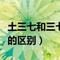 土三七和三七的区别百度经验（土三七和三七的区别）
