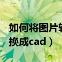 如何将图片转换成cad二维图（如何将图片转换成cad）