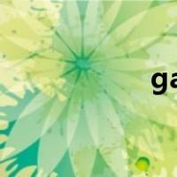 gaap有哪些（gaap）