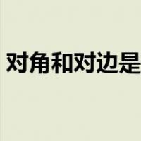 对角和对边是什么关系（对角和对边是什么）