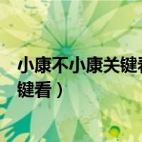 小康不小康关键看老乡体现了什么的重要性（小康不小康关键看）