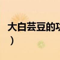 大白芸豆的功效与作用及食用方法（大白芸豆）