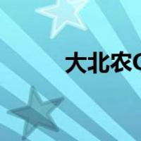 大北农OA登录（大北农oa登陆）