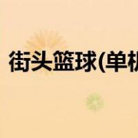 街头篮球(单机版)（街头篮球有单机版的吗）