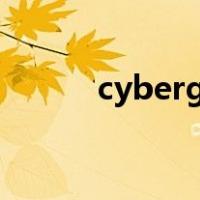 cyberghost官网（ghost官网）