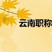 云南职称查询网（云南省职称查询）