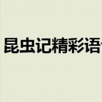 昆虫记精彩语句摘抄30句（昆虫记精彩语句）