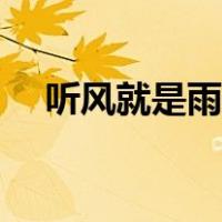 听风就是雨的人是什么人（听风就是雨）