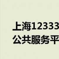 上海12333公共服务平台网址（上海12333公共服务平台）