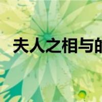 夫人之相与的相与什么意思（夫人之相与）