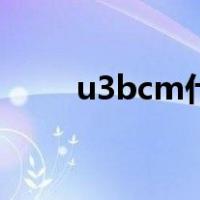 u3bcm什么意思（BCM什么意思）