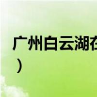 广州白云湖在哪里打疫苗（广州白云湖在哪里）