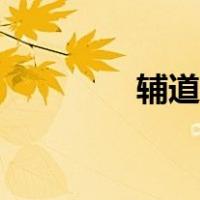 辅道啥意思（什么叫辅道）