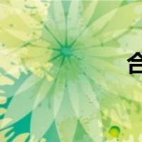 合同终止的法律后果