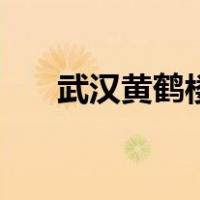 武汉黄鹤楼地址图（武汉黄鹤楼地址）
