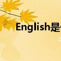English是什么意思（eng是什么意思）