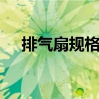 排气扇规格250是多少寸（排气扇规格）