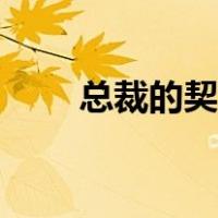 总裁的契约老婆（总裁的契约妻子）
