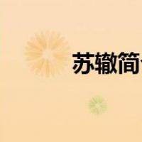 苏辙简介资料20字（苏辙简介）