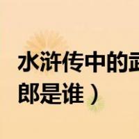 水浒传中的武大郎真实人物是谁（水浒传史大郎是谁）