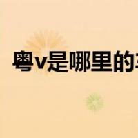 粤v是哪里的车牌 新闻（粤v是哪里的车牌）
