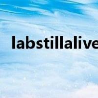 labstillalive被章鱼抓住流下的液体是什么
