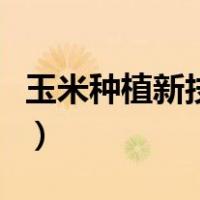 玉米种植新技术应用的访谈（玉米种植新技术）