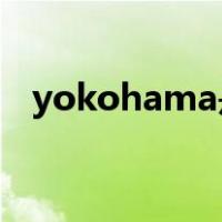 yokohama是什么轮胎多少钱215.55.r17