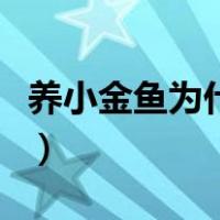 养小金鱼为什么容易死（小金鱼怎么养不会死）
