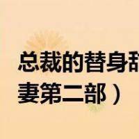 总裁的替身甜妻第二部叫什么（总裁的替身甜妻第二部）