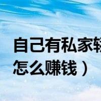 自己有私家轿车可以怎么赚钱（自己有私家车怎么赚钱）