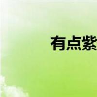 有点紫色的水果（紫色的水果）
