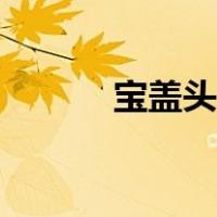 宝盖头下面一个几字（宝盖头）