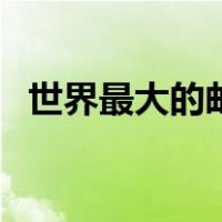 世界最大的邮轮是什么（世界最大的邮轮）