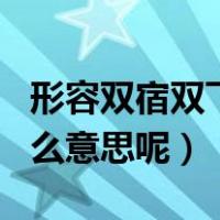 形容双宿双飞（ldquo 双宿双飞 rdquo 是什么意思呢）