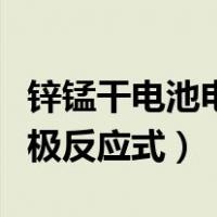 锌锰干电池电极反应式氯化铵（锌锰干电池电极反应式）