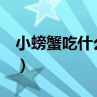 小螃蟹吃什么食物 家养 淡水（小螃蟹吃什么）