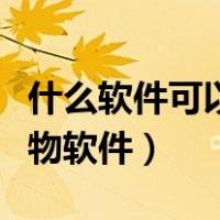 什么软件可以通过图片识别人物（图片识别人物软件）