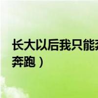 长大以后我只能奔跑一边失去一边在寻找（长大以后我只能奔跑）